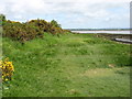 The shoreline at Port Carlisle