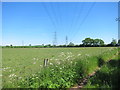 Pylons and public footpath at Marle Hills