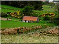 Ruined farm cottage, Meendamph