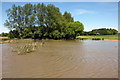 A little lake on a Tove tributary