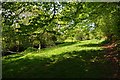 West Somerset : Grassy Field