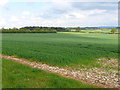 ST7013 : Stony Fields Near Bishops Caundle by Nigel Mykura