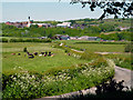 View to Lower Lomax Farm