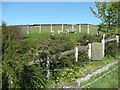 Memorial garden, Plane Trees