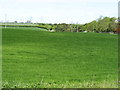 Fields north of Heddon-on-the-Wall