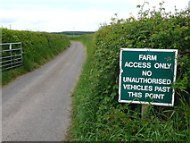 SY8997 : Road to Bushes Farm by Nigel Mykura