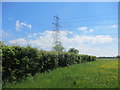 ST5889 : Pylon, hedge and meadow beside the Littleton Rhine at Cote Farm by Dr Duncan Pepper