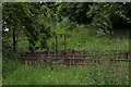 Old sheep pens and weighin facility at Thorganby