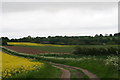 Thorganby from the bridleway to Swinhope