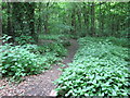 Footpath - Gledhow Lane