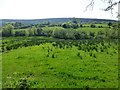 Mullaghduff Townland