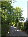 Minor road passing Goldburnhill Covert