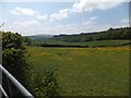 Field near Northwood Farm