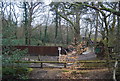 Miniature railway by the Basingstoke Canal