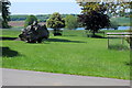 Tree trunk on the Wakefield Lawn