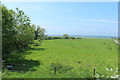 Farmland at Carsewalloch