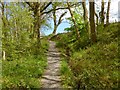 Path in Garrawy Glen