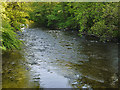 The Tywi below the bridge