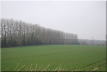 TR0653 : Farmland near Chilham by N Chadwick