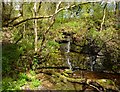 Waterfall in Garrawy Glen