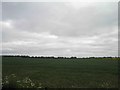 Lincolnshire farmland near Broxholme