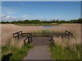 Viewing stage at Rainton Meadows Nature Reserve