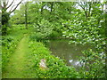 Footpath through wetland area, Melplash Court