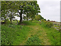 Bridleway heading north east