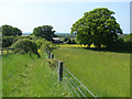 Footpath to Braywood