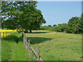 Footpath and paddocks