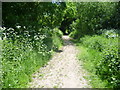 Raeburn Avenue Open Space