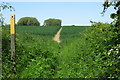 Footpath towards Morteyne Farm