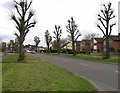 Anstey Lane towards Leicester