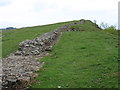 NY8070 : Hadrian's Wall on Sewingshields Crags by David Purchase