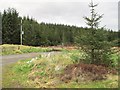 A track into the forest on the A713