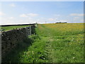 Footpath - Upper Heights Road