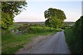 West Somerset : Country Road