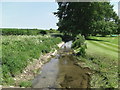 Tributary of the River Allen