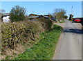 Farm buildings along Spring Lane