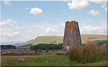 NS5976 : Trig point BSM 3648 by Duncan Gray