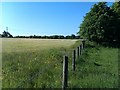 Field beside track at Park Farm