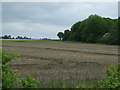 Farmland near Kingerby Wood