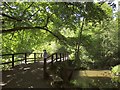 SX8375 : Bridge, Stover Country Park by Derek Harper