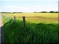 Bare field by West Priestgill