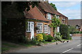 Houses and ducks on Dark Lane