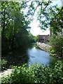 Hogsmill River in the centre of Kingston