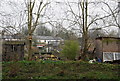 Allotments by the River Brent