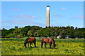 Ponies and power station