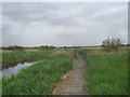 Boardwalk and footbridge in Coatham Marsh Nature Reserve