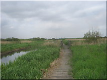 NZ5924 : Boardwalk and footbridge in Coatham Marsh Nature Reserve by peter robinson